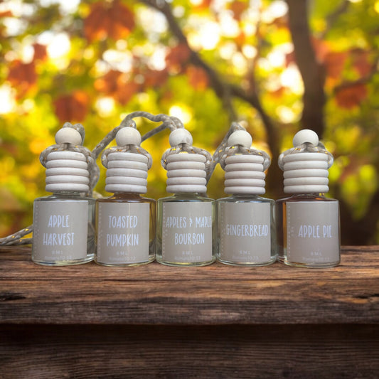 Fall Car Diffuser
